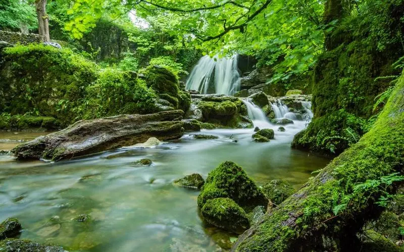 高效电子高端